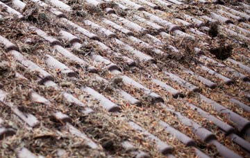 West Hougham roof cleaning companies